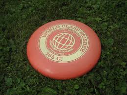 Frisbee是什么意思