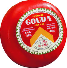 Gouda是什么意思