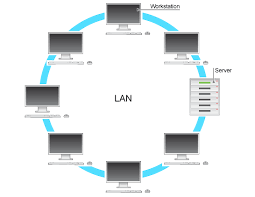 LAN是什么意思