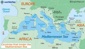 Mediterranean是什么意思