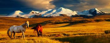 Mongolia是什么意思
