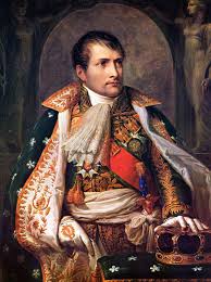 napoleon是什么意思