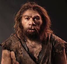 Neanderthal是什么意思
