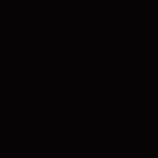 Negro是什么意思
