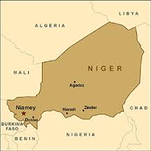 Niger是什么意思