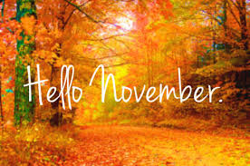 November是什么意思