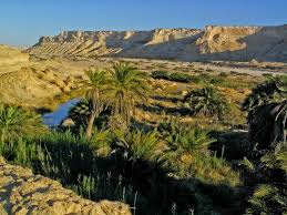 Oman是什么意思
