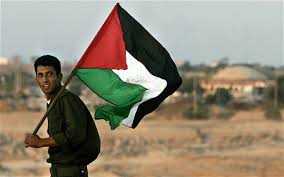 Palestinian是什么意思