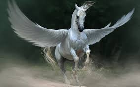 pegasus是什么意思