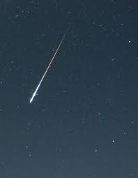 perseid是什么意思