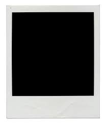Polaroid是什么意思