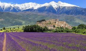 provence是什么意思