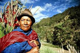 quechua是什么意思