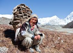 Sherpa是什么意思