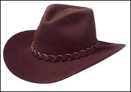 stetson是什么意思