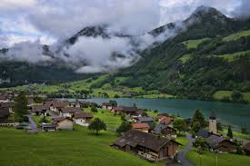 Swiss是什么意思