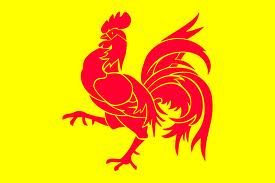 walloon是什么意思