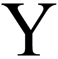 Y是什么意思