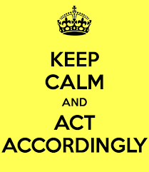accordingly是什么意思