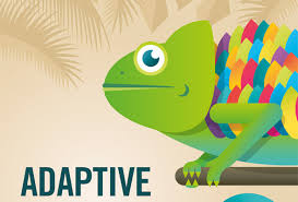 adaptive是什么意思
