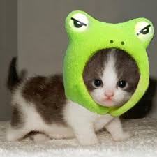 adorable是什么意思