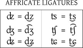 affricative是什么意思
