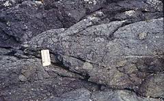 agglomerate是什么意思