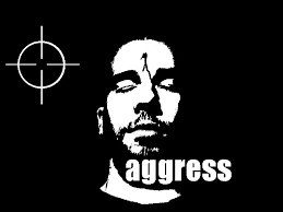 aggress是什么意思