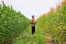 agriculturist是什么意思
