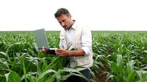 agronomist是什么意思