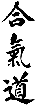 aikido是什么意思