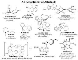 alkaloid是什么意思