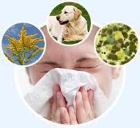 allergic是什么意思