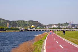 along是什么意思