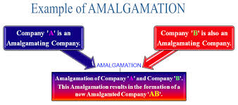 amalgamation是什么意思