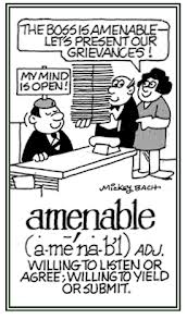 amenable是什么意思