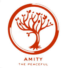 amity是什么意思