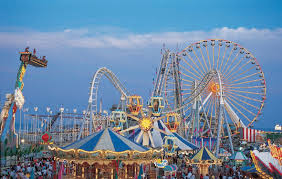 amusement是什么意思