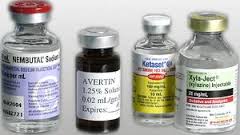 anesthetics是什么意思
