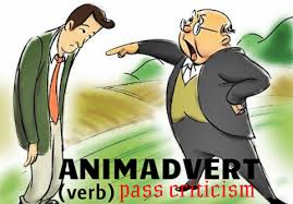 animadvert是什么意思