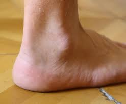 ankle是什么意思