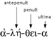 antepenult是什么意思