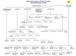 anthropological是什么意思