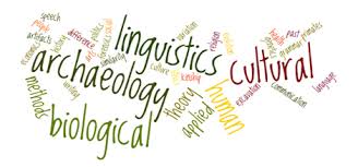 anthropology是什么意思