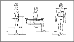 anthropometric是什么意思