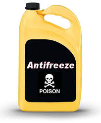 antifreeze是什么意思