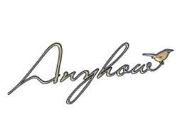 anyhow是什么意思