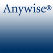 anywise是什么意思
