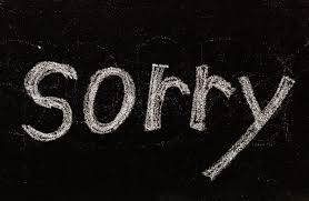 apologize是什么意思