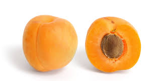 apricot是什么意思